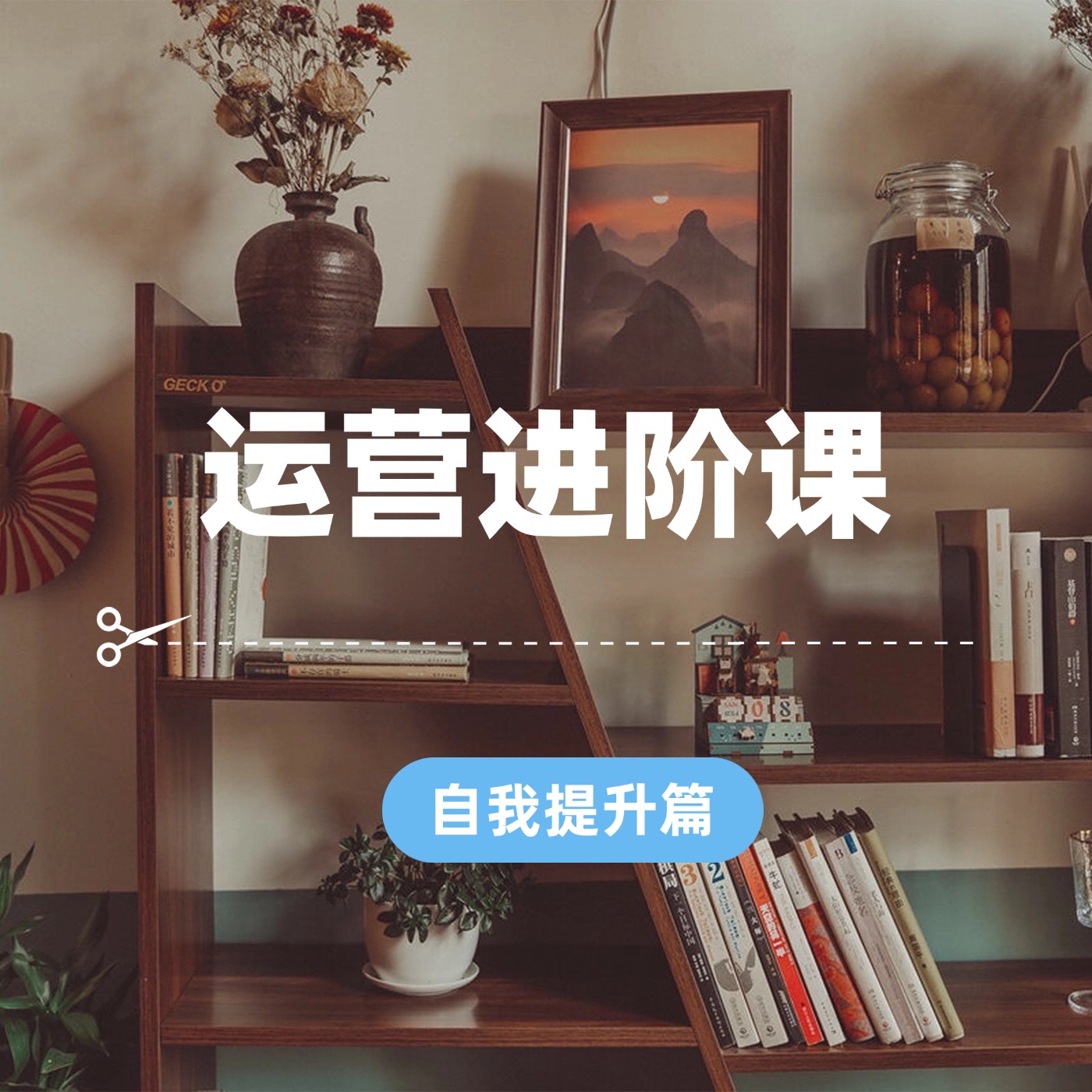 运营进阶课2