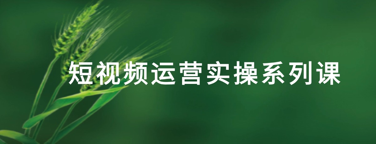短视频运营实操系列课