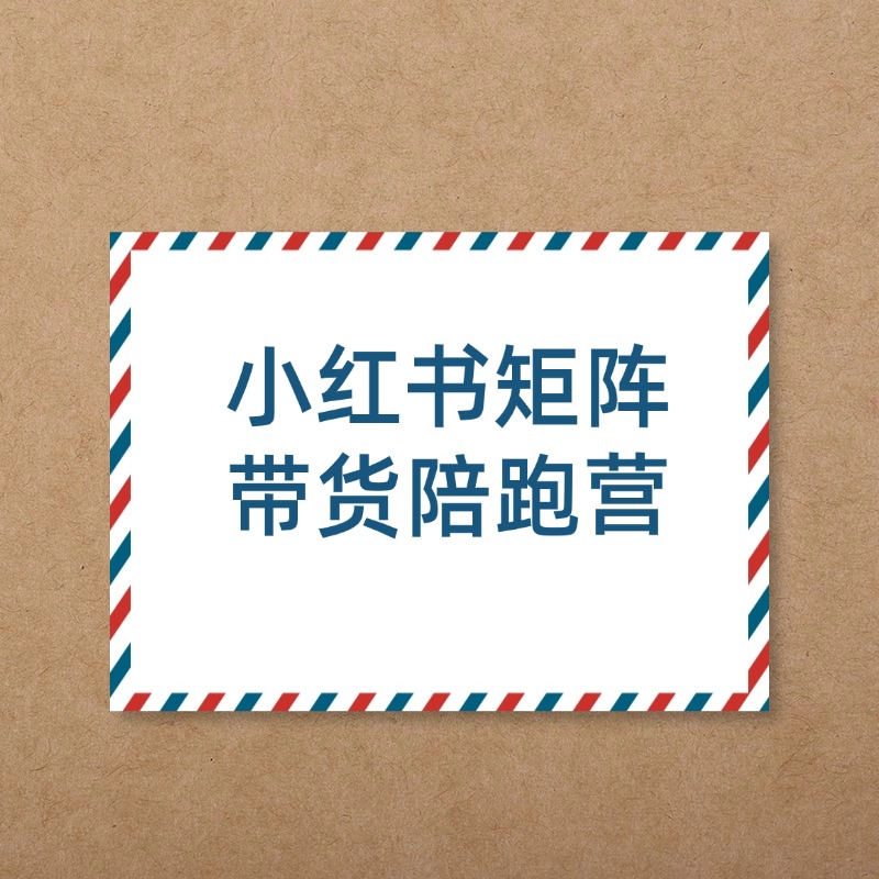 小红书矩阵__带货陪跑营